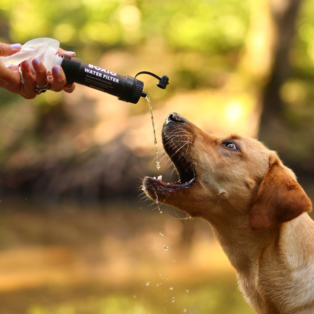BOXIO WATER FILTER Wasserfilter Outdoor