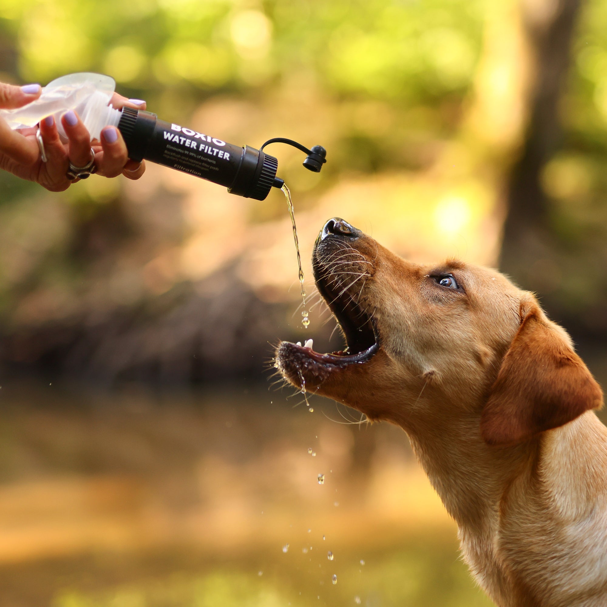 Wasserfilter Outdoor I BOXIO WATER FILTER SYSTEM